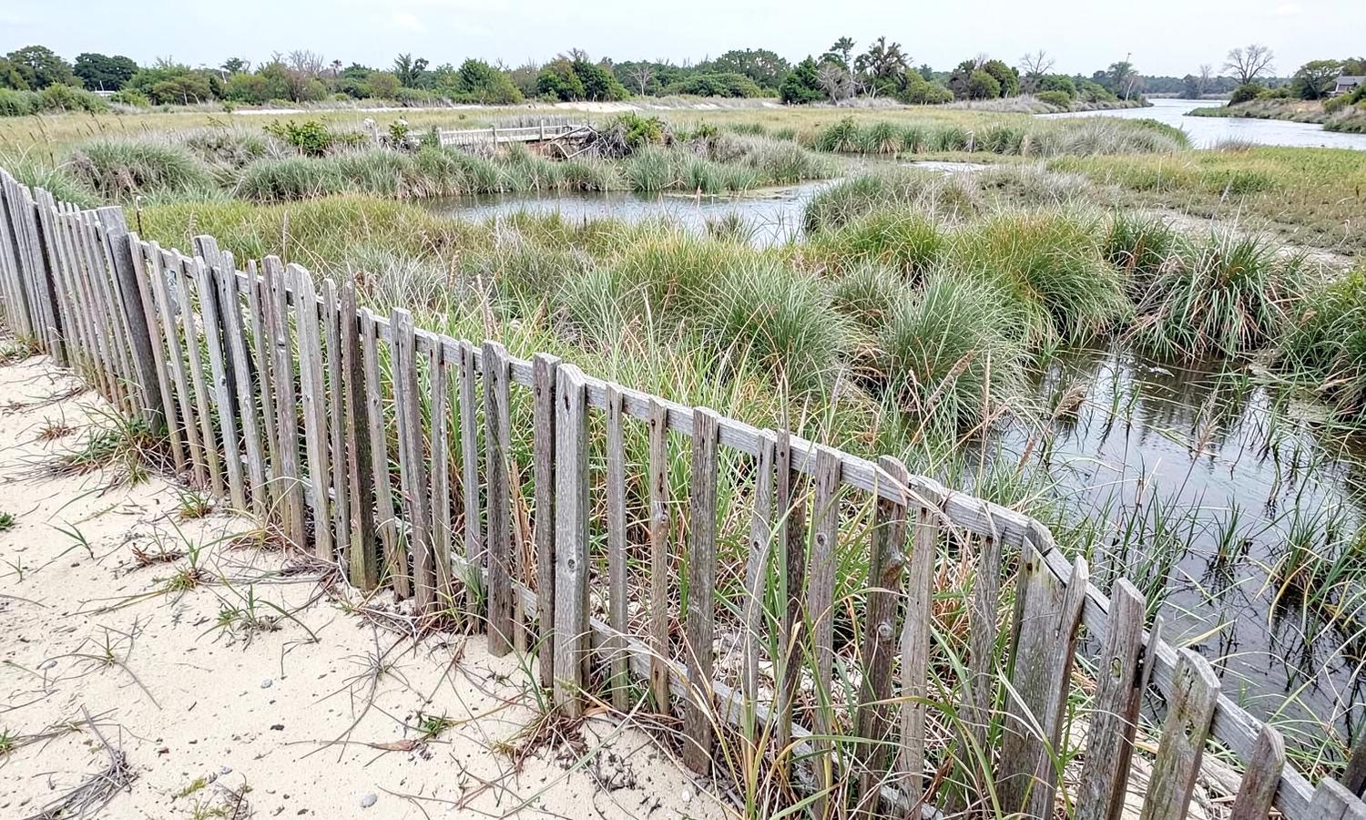 Weathered wooden privacy fence running along the edge of a tidal marsh with cordgrass and a tidal creek behind it
