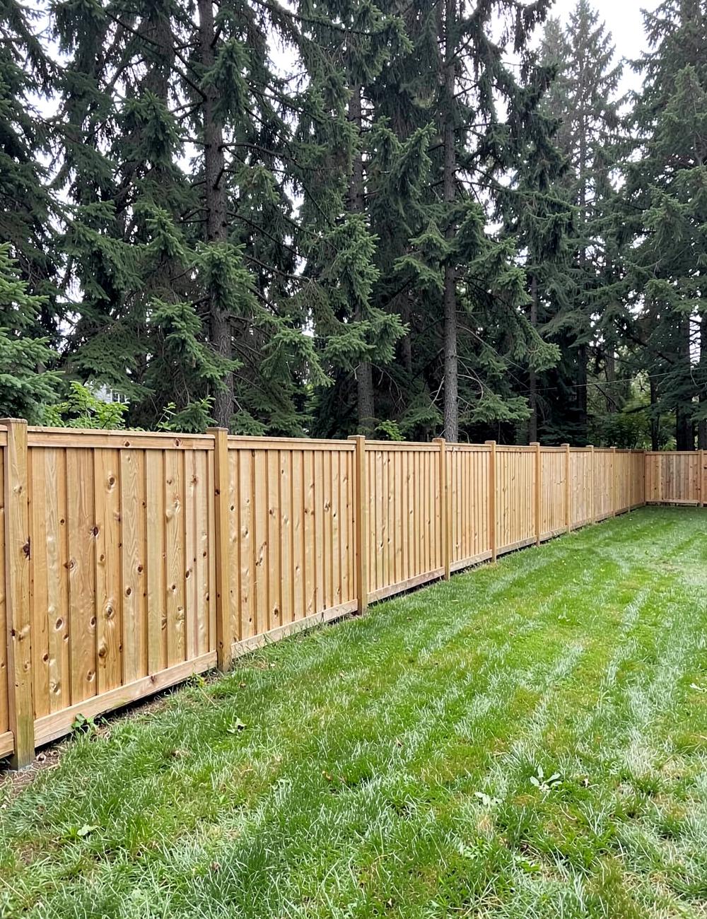 New cedar privacy fence along a green backyard edged by tall evergreen forest