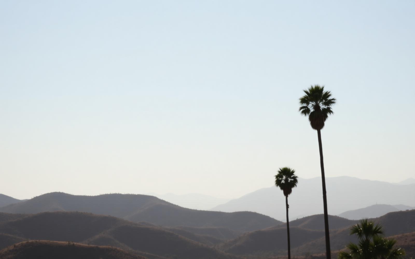 A heat-shimmered boulevard in the San Fernando Valley on an inland heat-wave afternoon