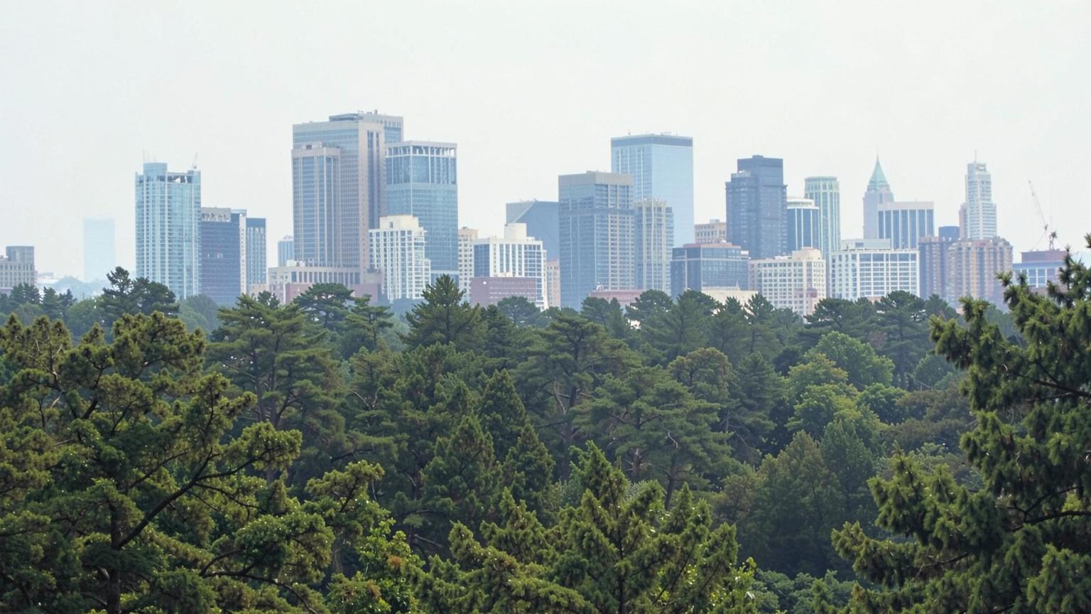 City skyline towers rising above a dense green tree canopy on a hazy summer afternoon