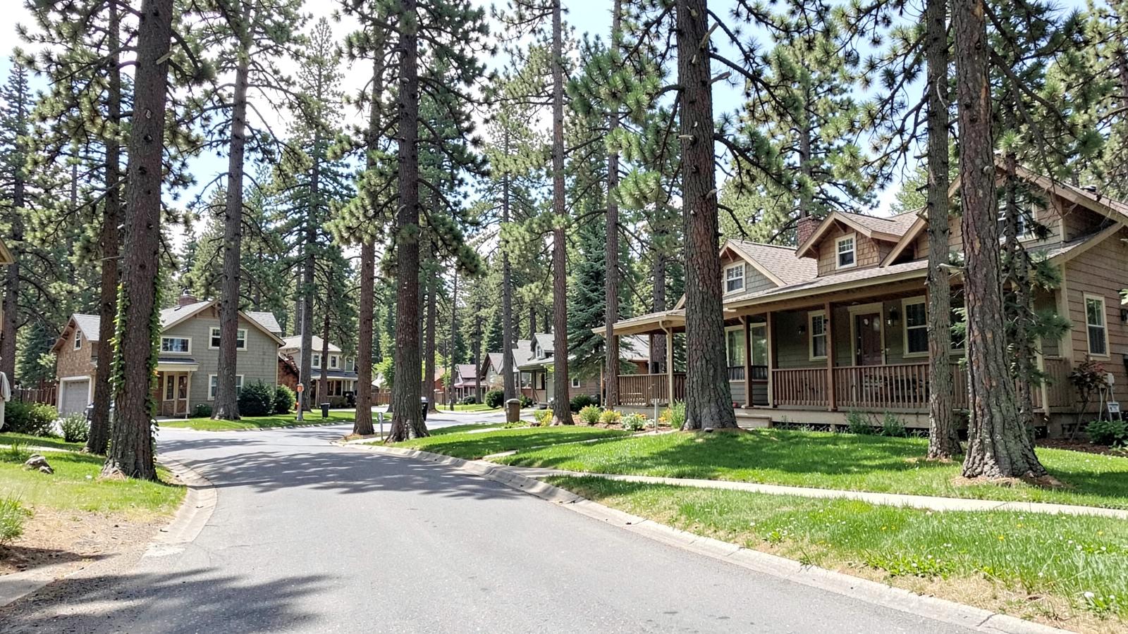 Quiet residential street lined with very tall pine trees and craftsman houses with deep porches in summer