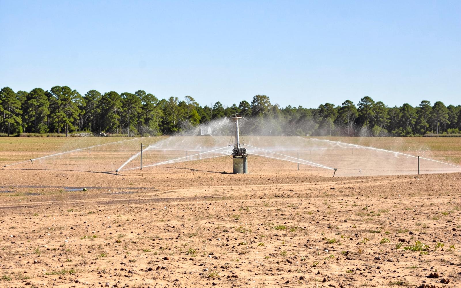 Center pivot irrigation system standing over a young green field under a wide hazy sky