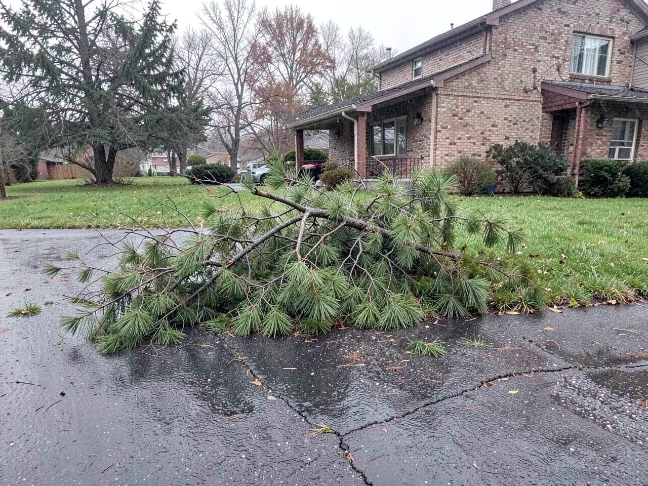 Large broken tree limb lying across a residential driveway after a storm