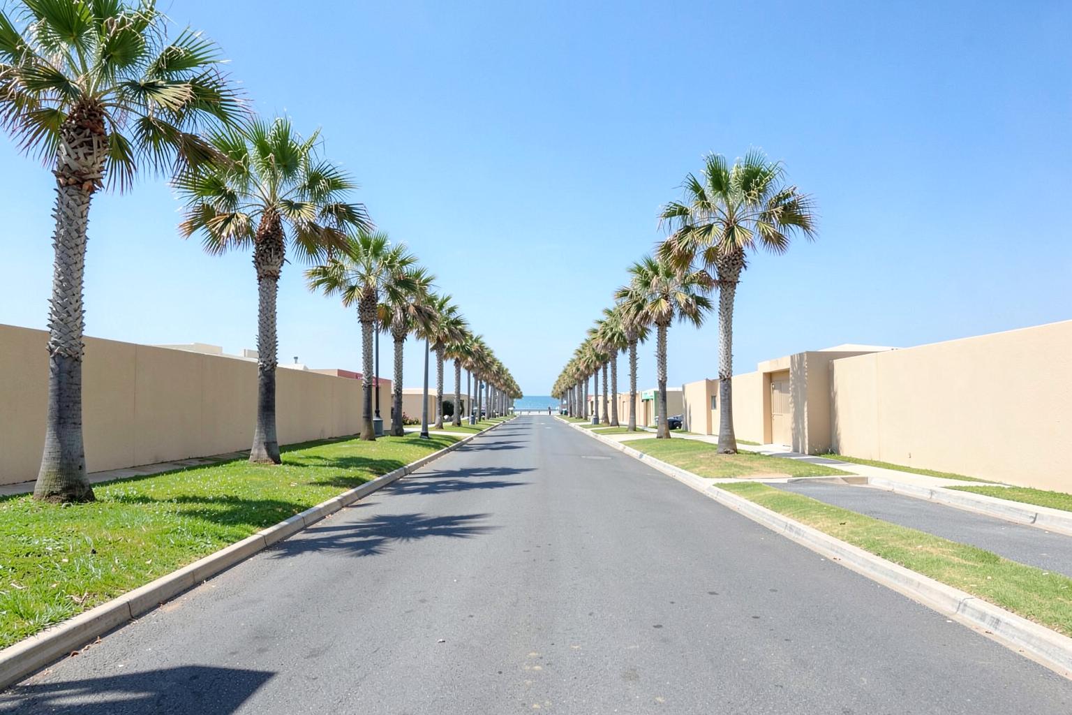 Wide palm-lined coastal boulevard with empty lanes and low blank-walled buildings under bright summer sky