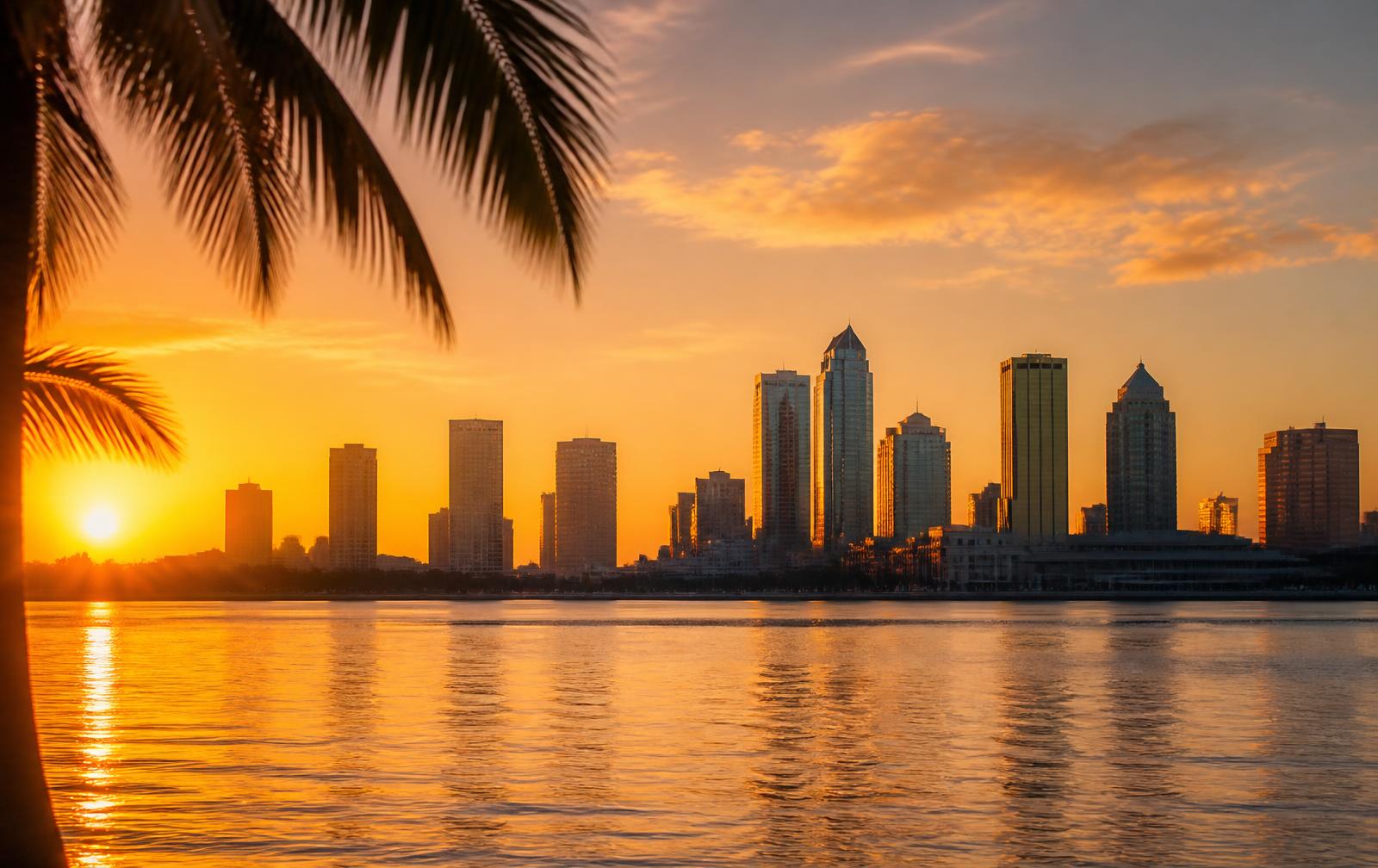 Tampa skyline across the bay at golden hour with palm fronds in the foreground