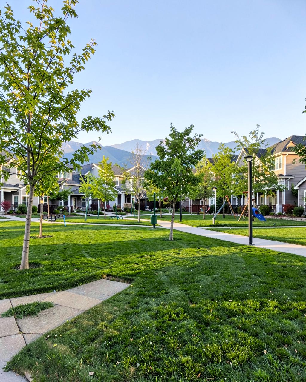 New neighborhood park with fresh lawn, young shade trees and a small playground surrounded by new two story homes