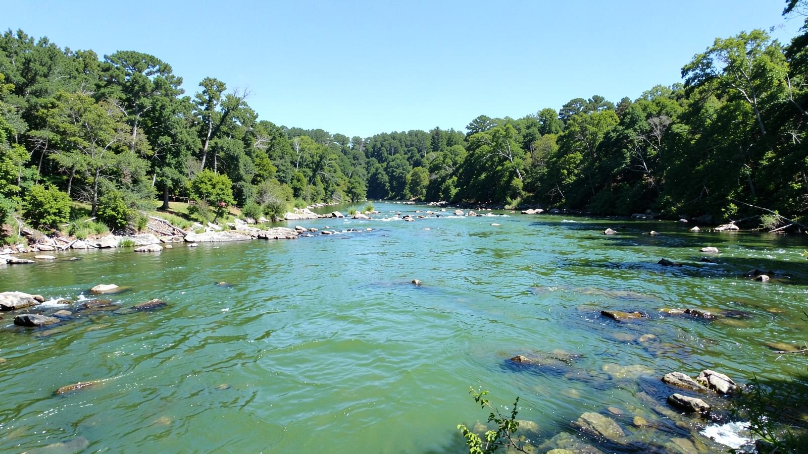 Wide green Piedmont river with rocky shoals and forested banks under a clear sky