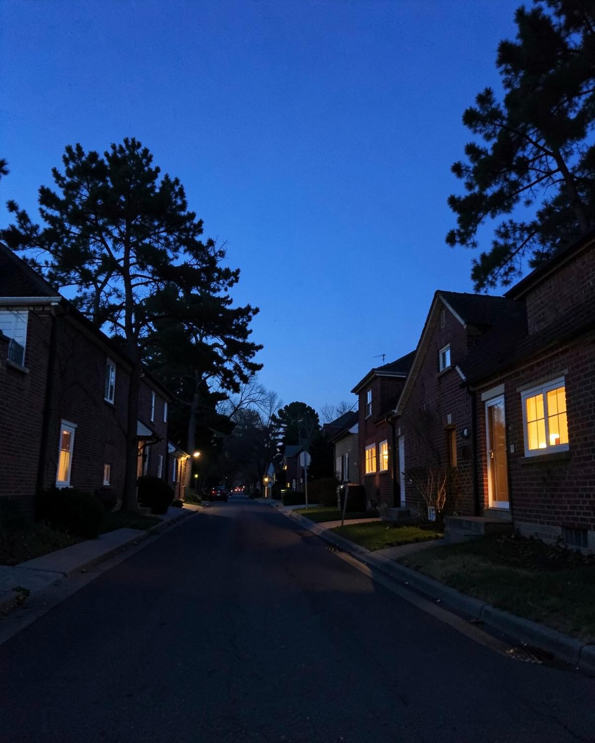 Quiet residential street at dusk with warm light in the windows of brick homes and long shadows under pine trees