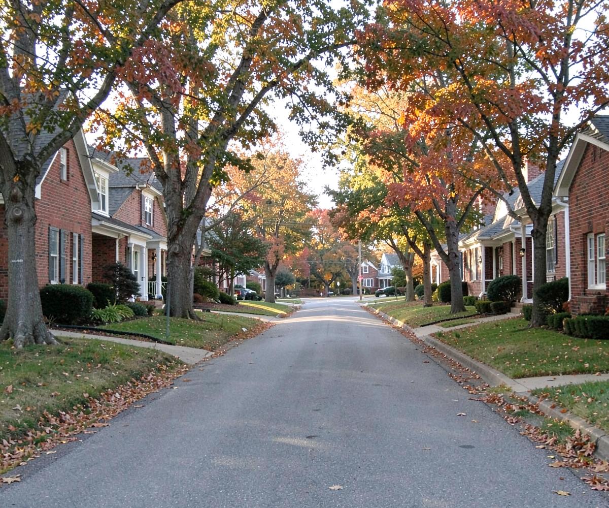 Tree-lined street of established brick homes in autumn light