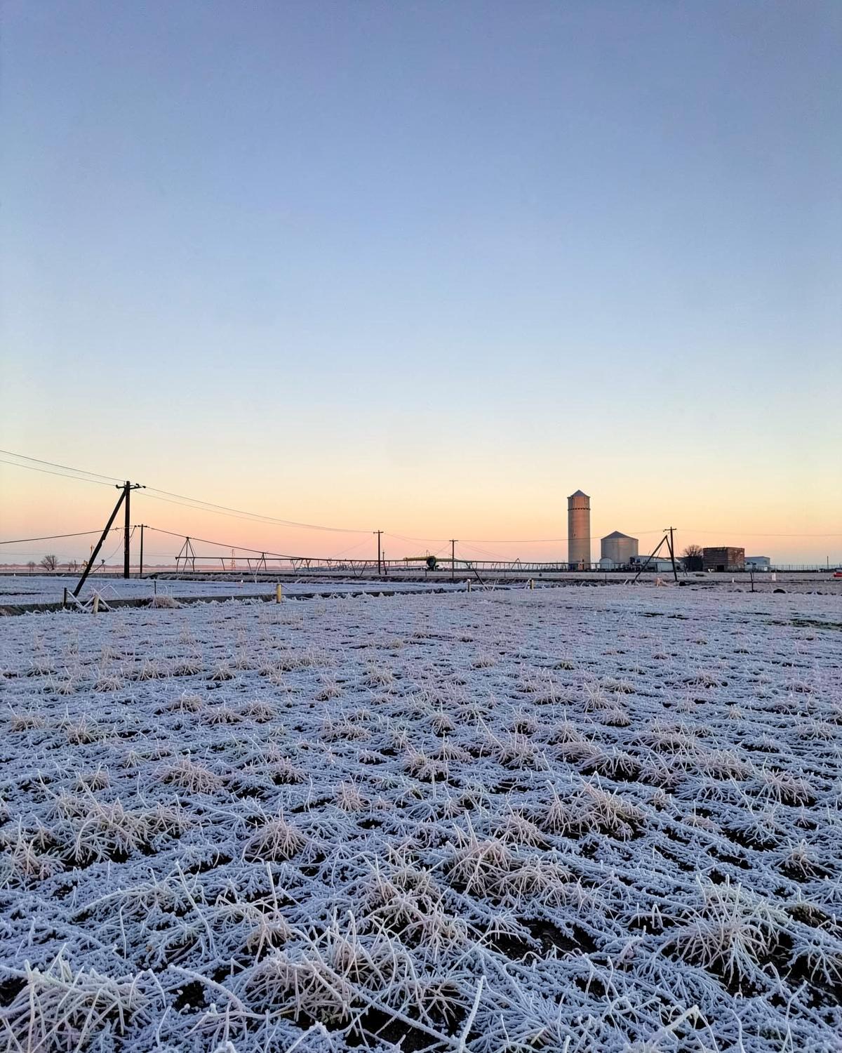 Frost-covered farm field at sunrise with irrigation equipment and a distant grain silo silhouette