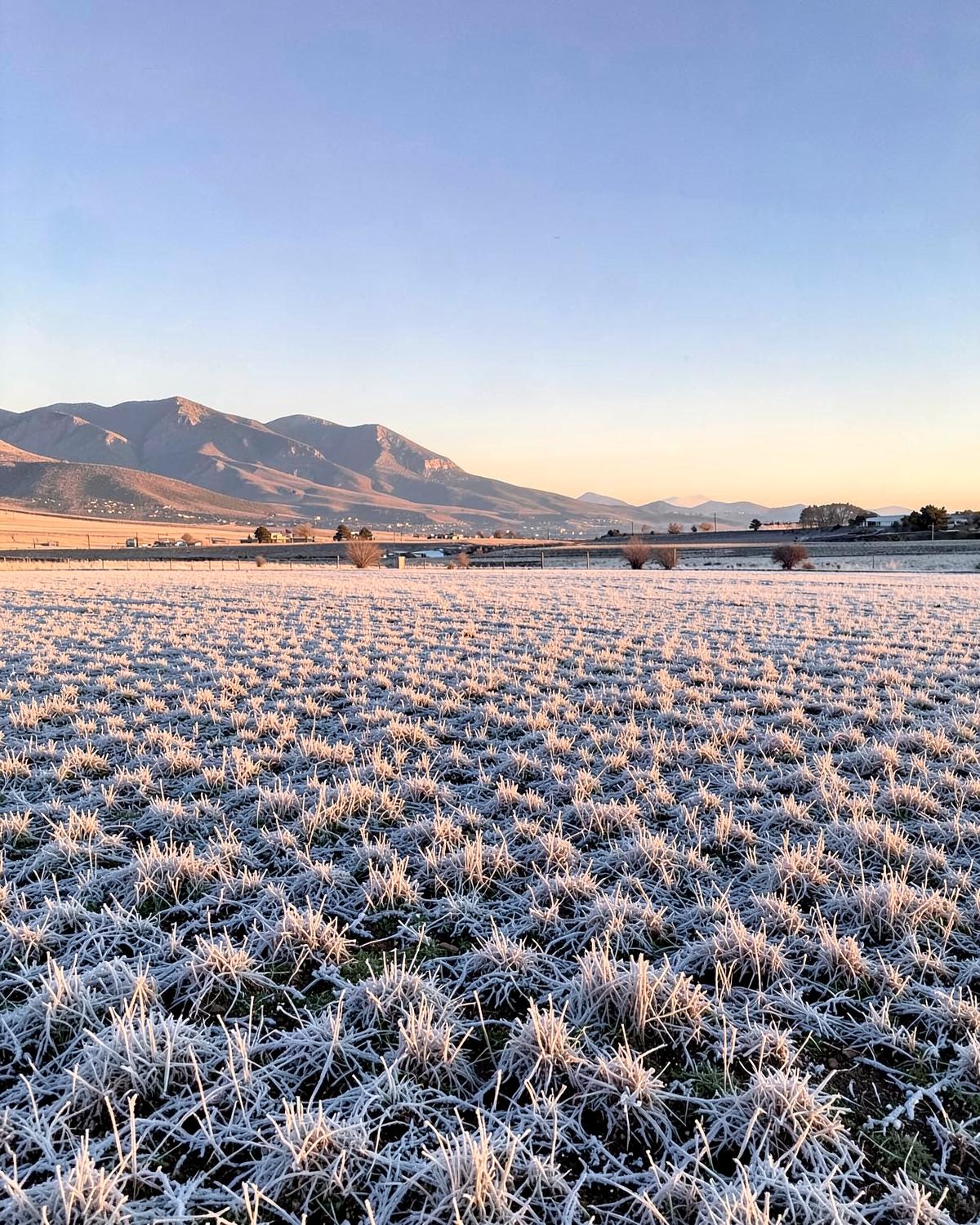 Frost covered stubble field at sunrise on flat high desert farmland with hills on the horizon