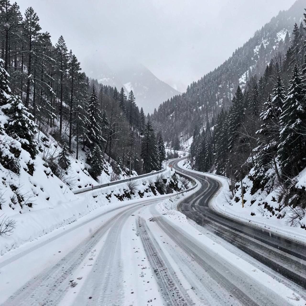 Plowed mountain pass highway curving through snow-covered pine forest on an overcast winter day