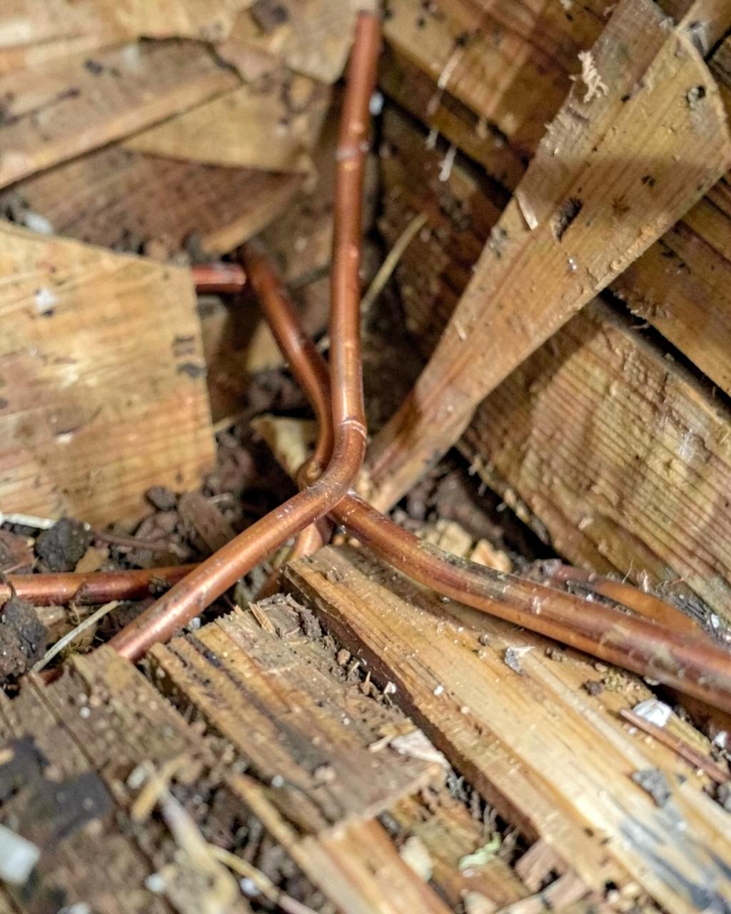 New copper water lines run through wooden floor joists in the crawl space under a house