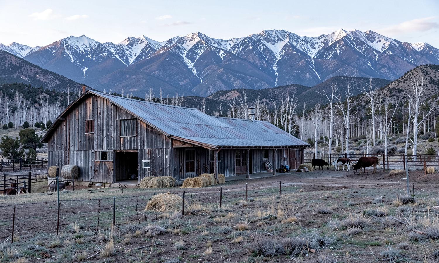 Weathered wooden barn and corrals with hay stacks and cattle in a high-desert valley below a snow-covered mountain range