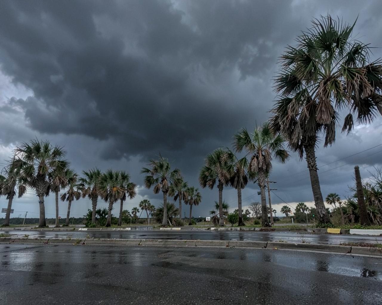 Dark storm clouds over wind-bent palmettos and a wet empty coastal street after a squall