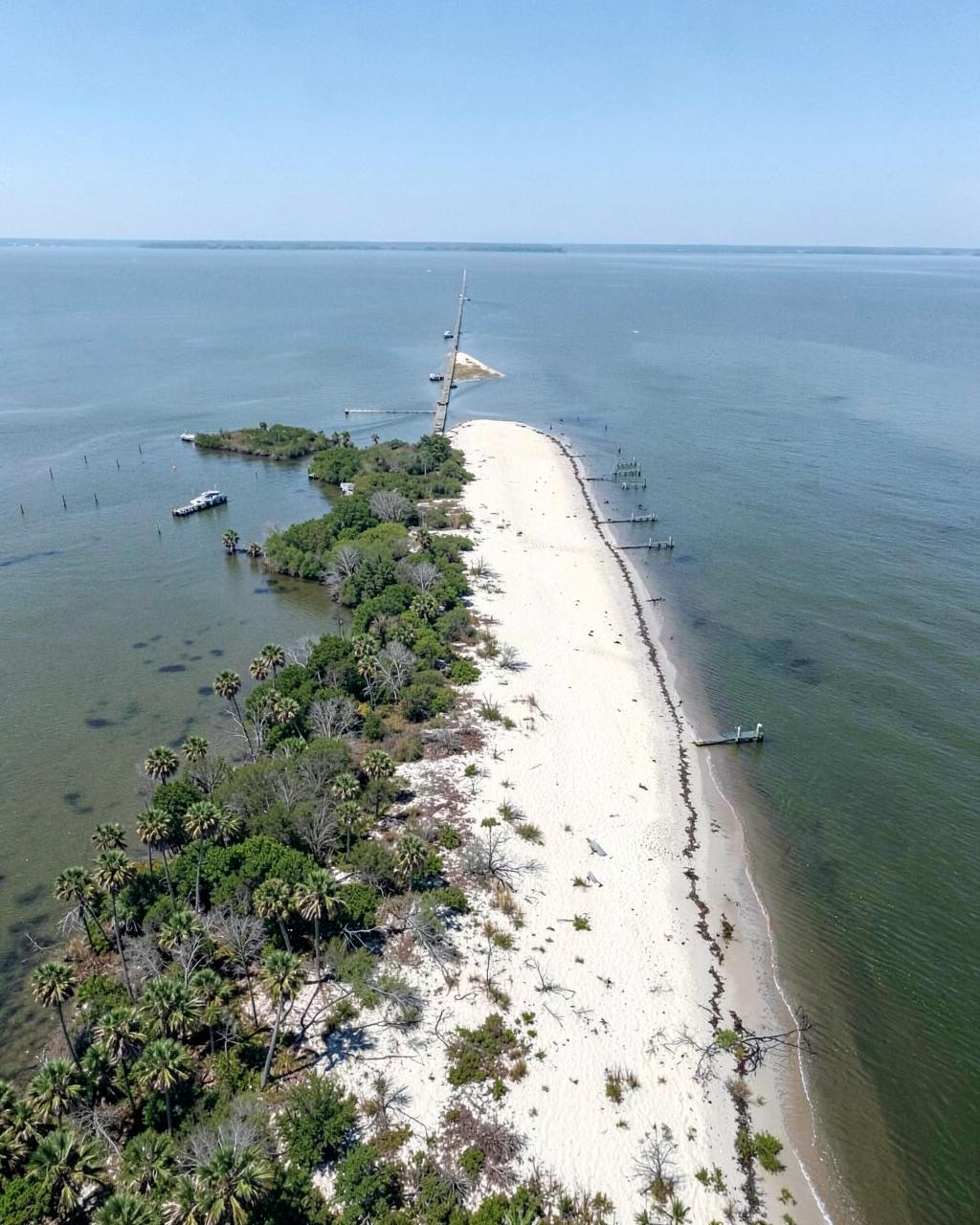 Aerial view of a flat coastal barrier landscape with pale sand beach, pine woods and a narrow inland waterway