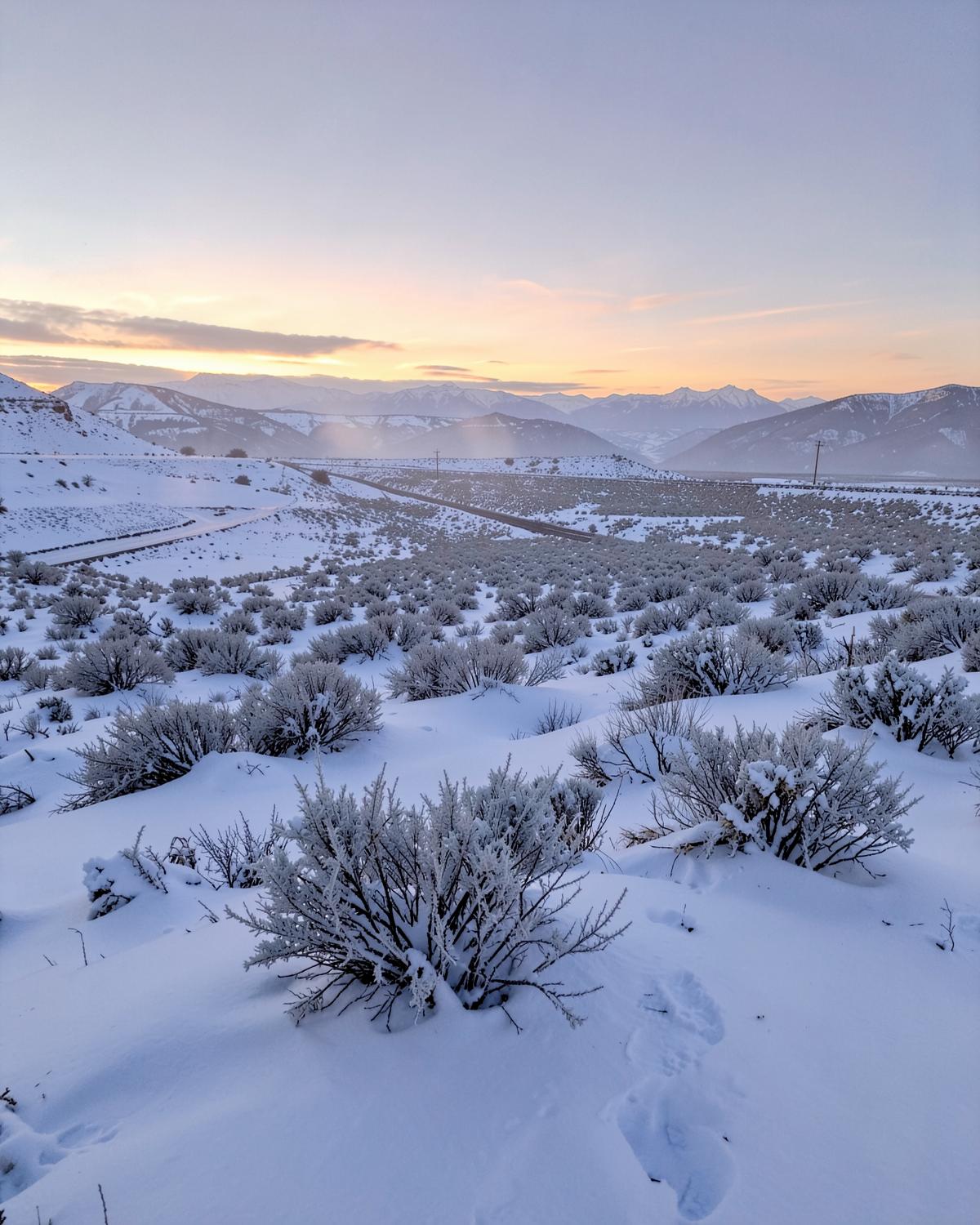 Vast snow-covered sagebrush valley at sunrise in deep winter with frost-coated brush and distant mountains