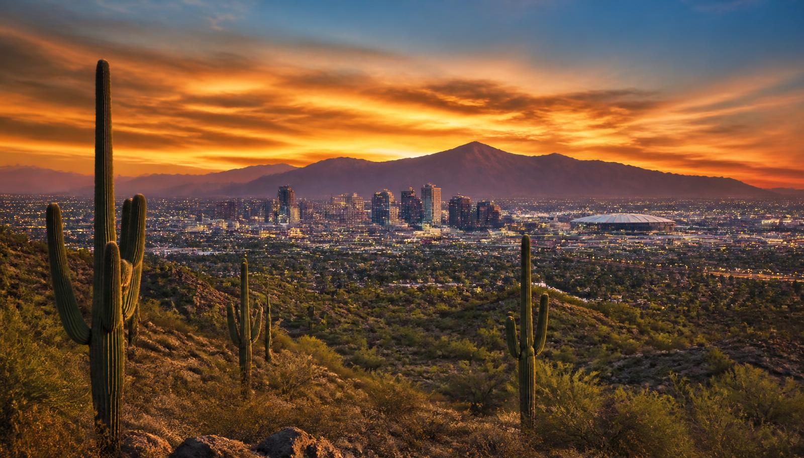 Phoenix skyline at sunset seen across the Sonoran desert with saguaros in the foreground