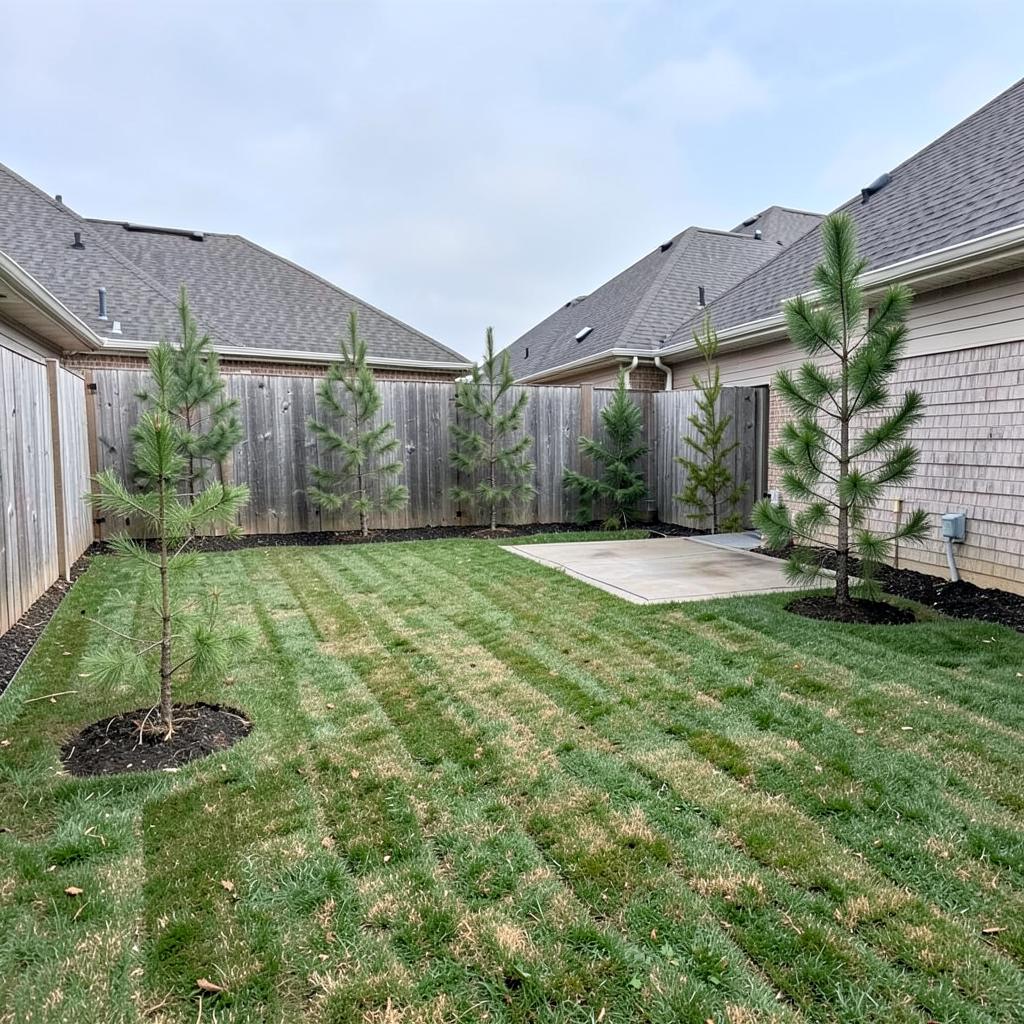 Empty new-build back yard with thin new sod, a bare concrete patio pad and young pine saplings along a plain wooden fence