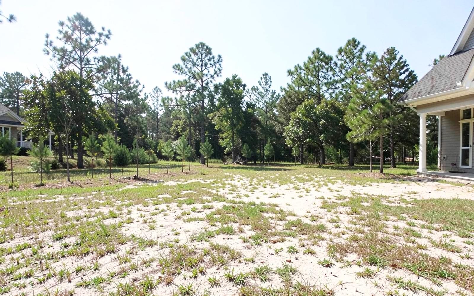 Bare sandy back yard behind a newly built house with patchy sparse grass and no fence, pine trees along the rear boundary