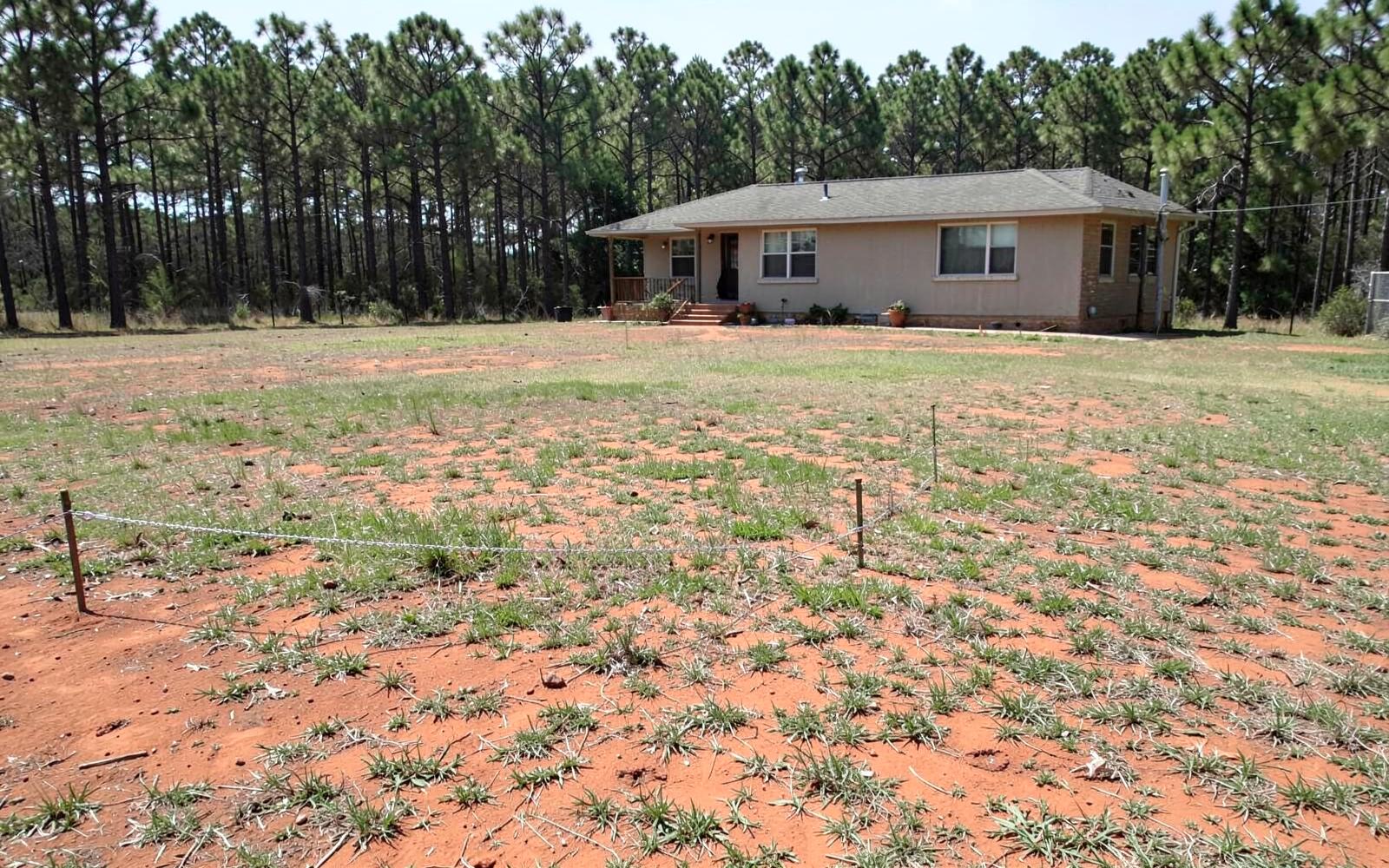 Open back yard of a new house on cleared red clay soil with thin new grass and no fence between it and the neighbouring lot