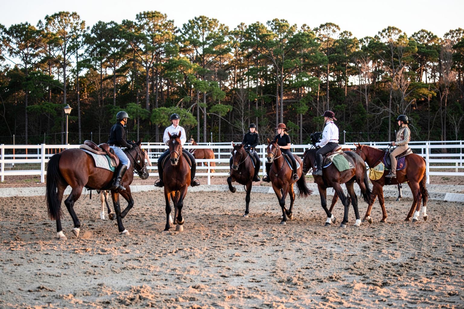 Riders schooling horses in a sandy arena bordered by white rail fencing and tall pines