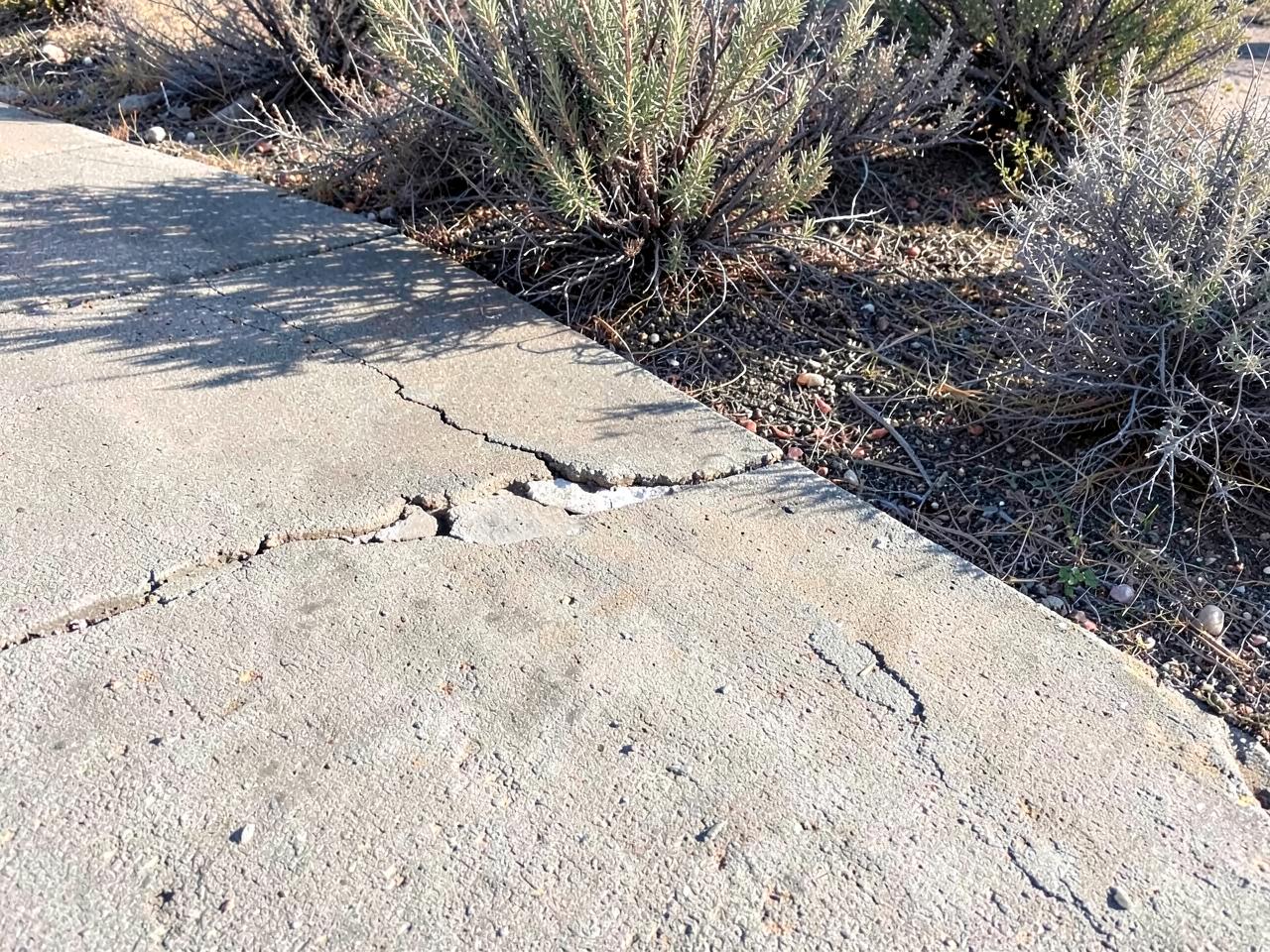 Cracked and spalled concrete driveway slab beside dry sagebrush landscaping in morning light