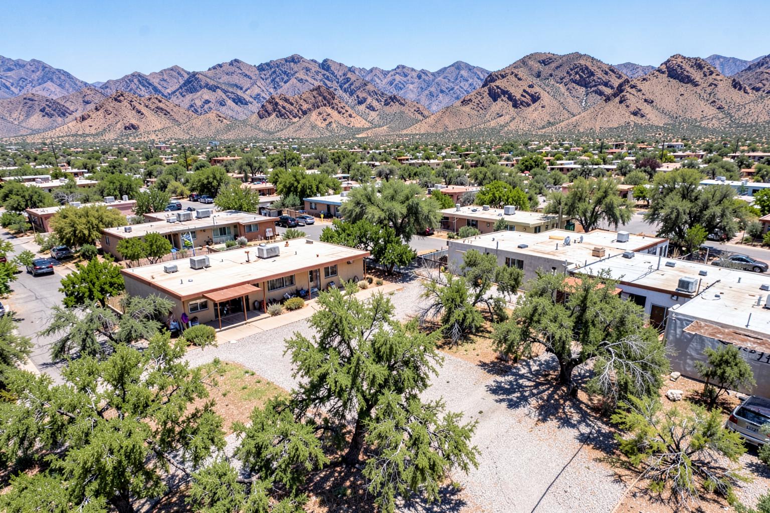 Established desert neighborhood of mid-century single-storey homes with mature trees and gravel yards