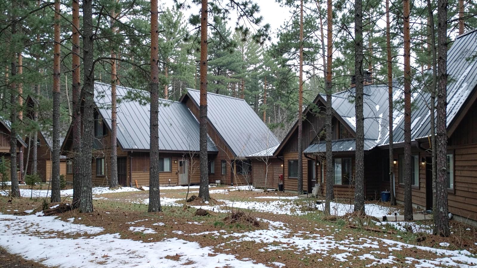 Quiet neighbourhood of cabin-style homes with steep metal roofs among tall ponderosa pine trunks with patchy snow