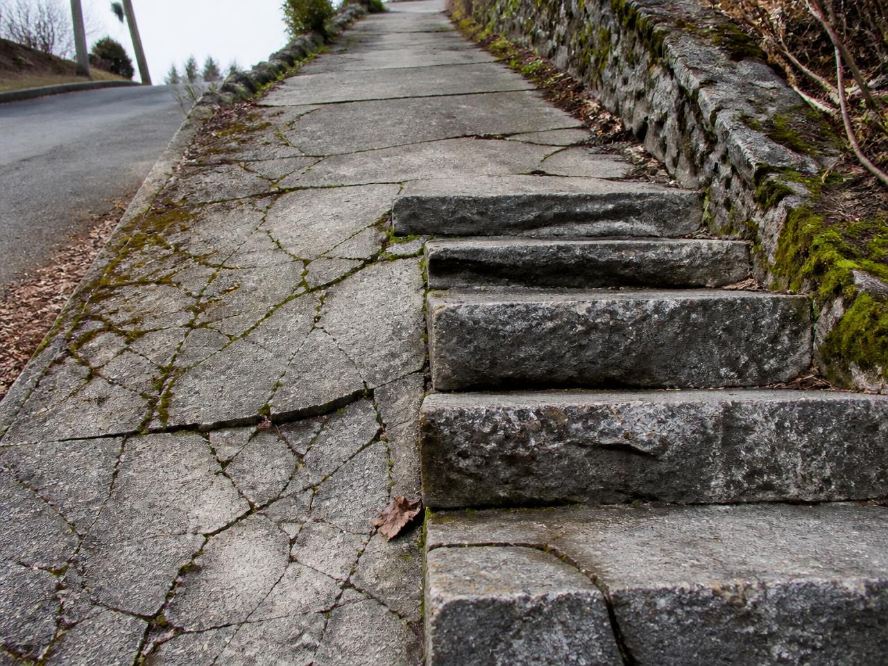 Concrete city steps built into a steep Pittsburgh hillside