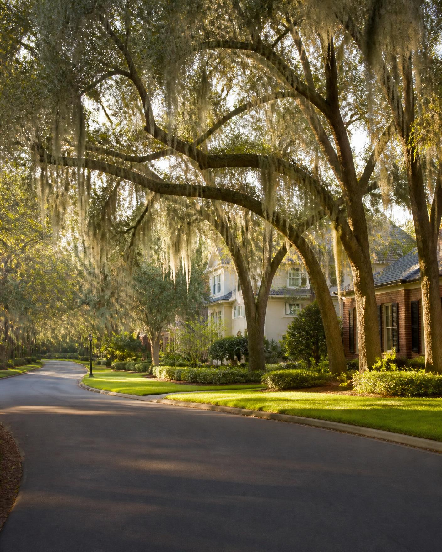 Residential street in the Killearn area of Tallahassee shaded by mature oaks, the neighborhoods local search covers