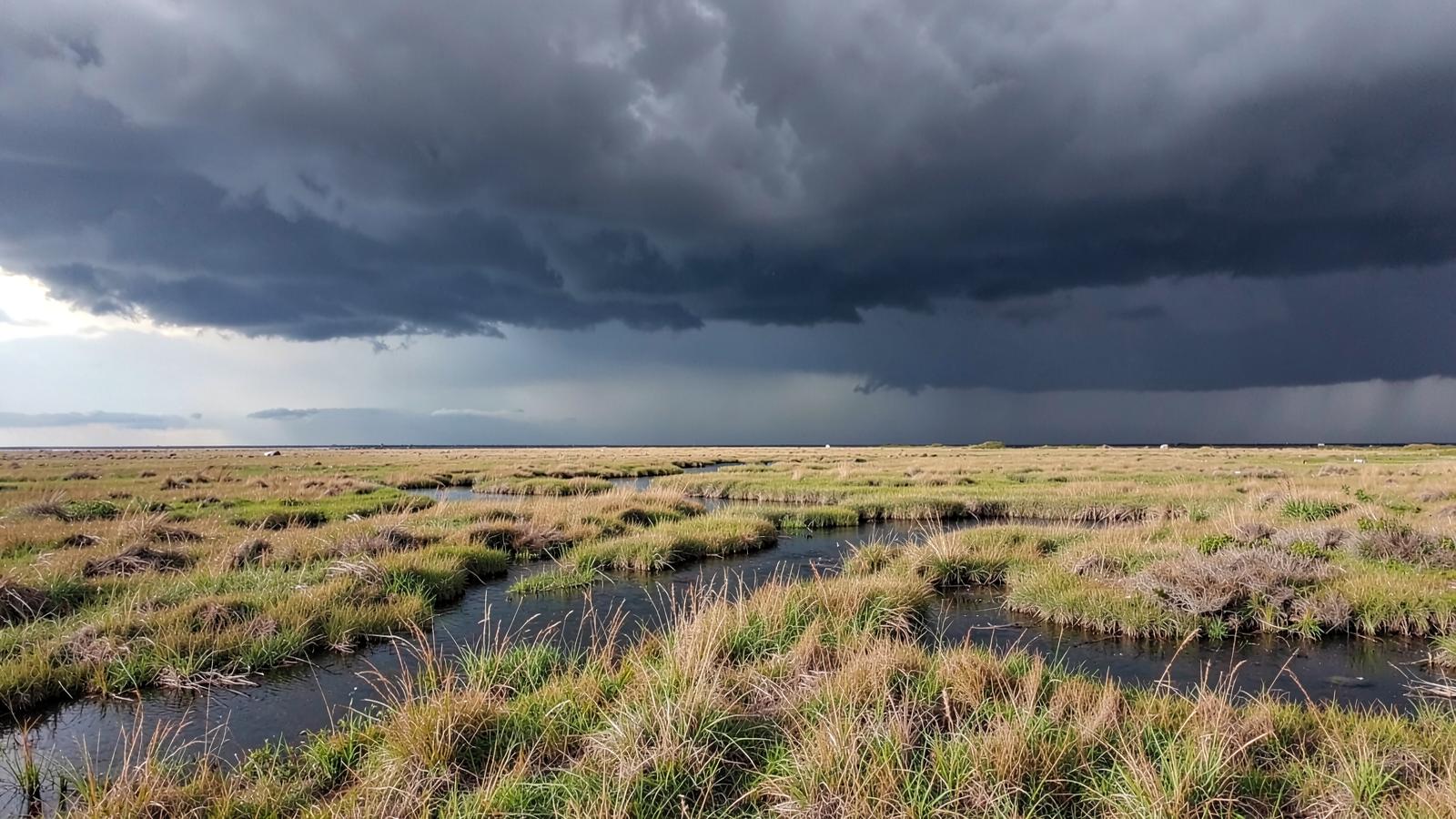 Dark storm clouds building over a wide tidal salt marsh with winding creek channels and cordgrass