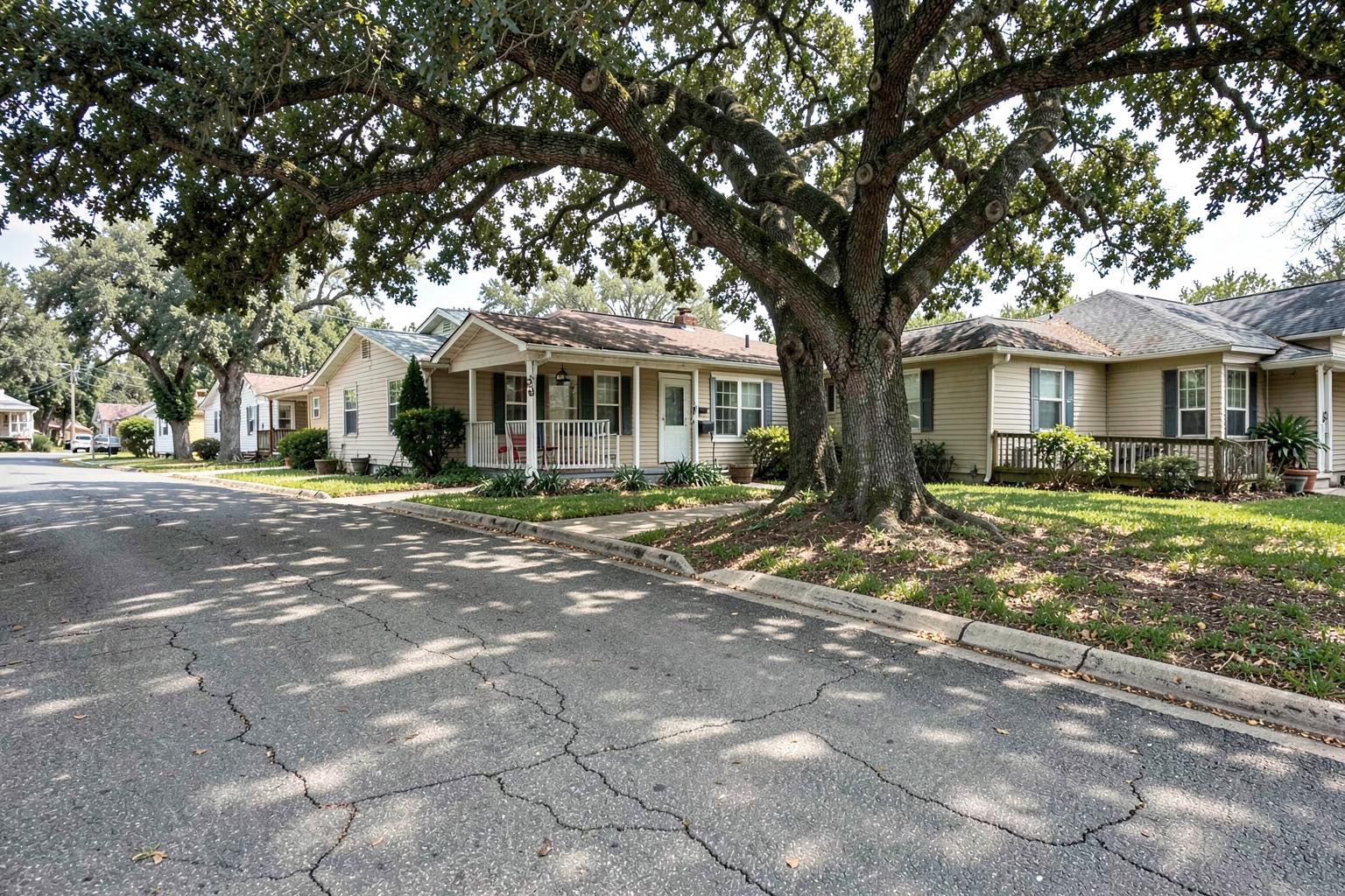 Street of early twentieth century bungalows with deep porches under a heavy canopy of mature oak trees in soft afternoon light
