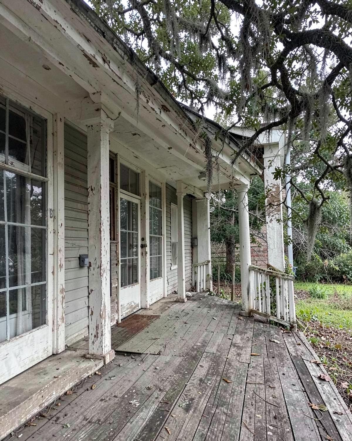 Deep shaded porch of an older southern wooden home beneath a spreading live oak hung with Spanish moss