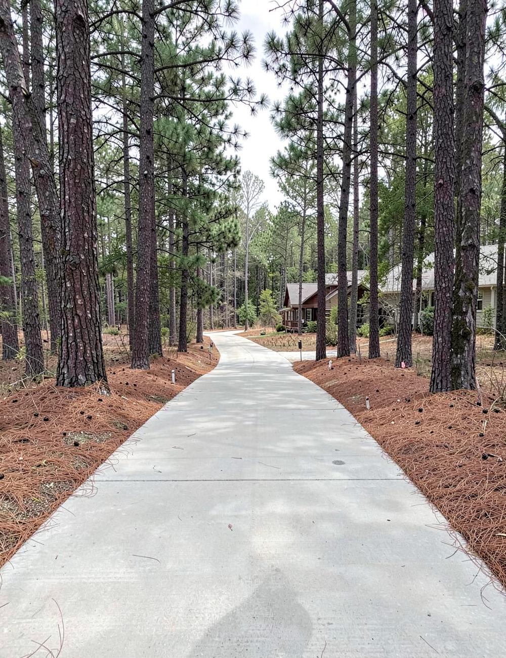 Freshly poured concrete driveway curving between tall pine trees toward a wooded home