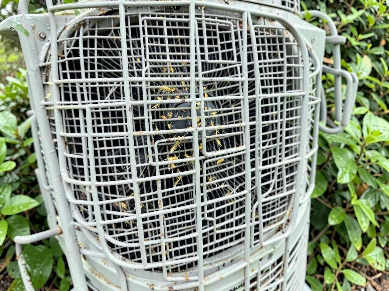 Yellow pine pollen collected on the metal fins and grille of an outdoor air conditioning condenser beside green shrubs
