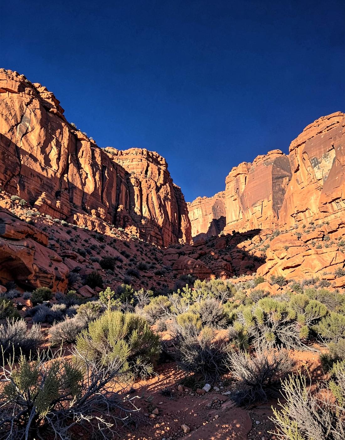 Red sandstone desert cliffs above low scrub under a deep blue sky in late afternoon light
