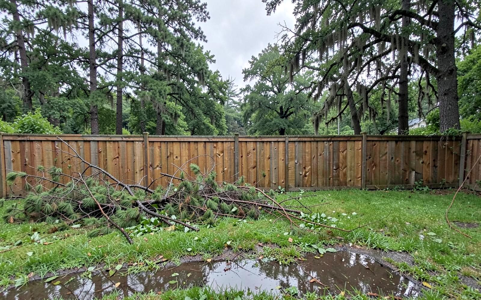 Wooden privacy fence section pushed flat onto sandy ground with broken pine limbs across it after a storm