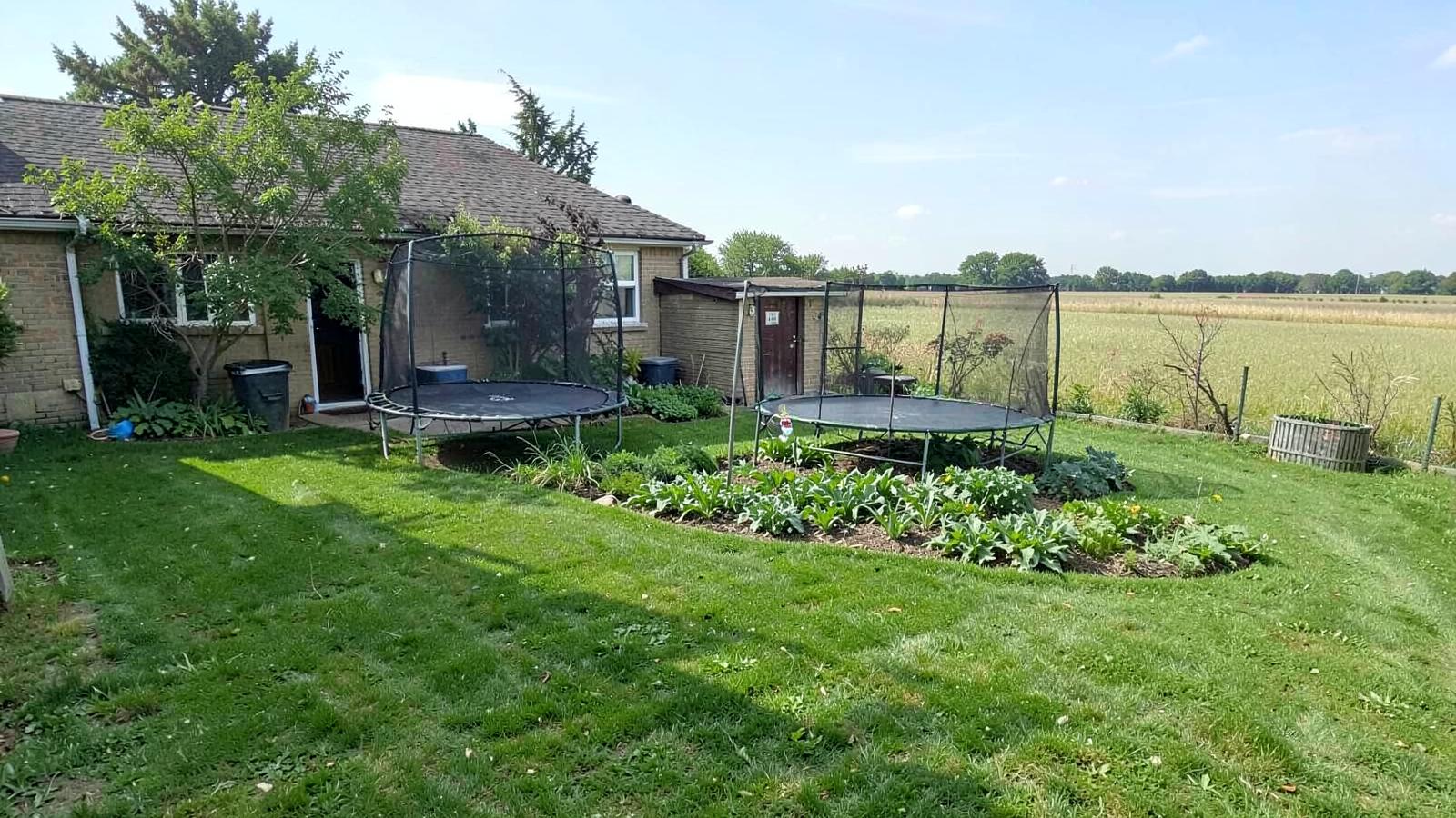 Large green backyard with a trampoline and vegetable garden behind a modest home with farm fields beyond the fence
