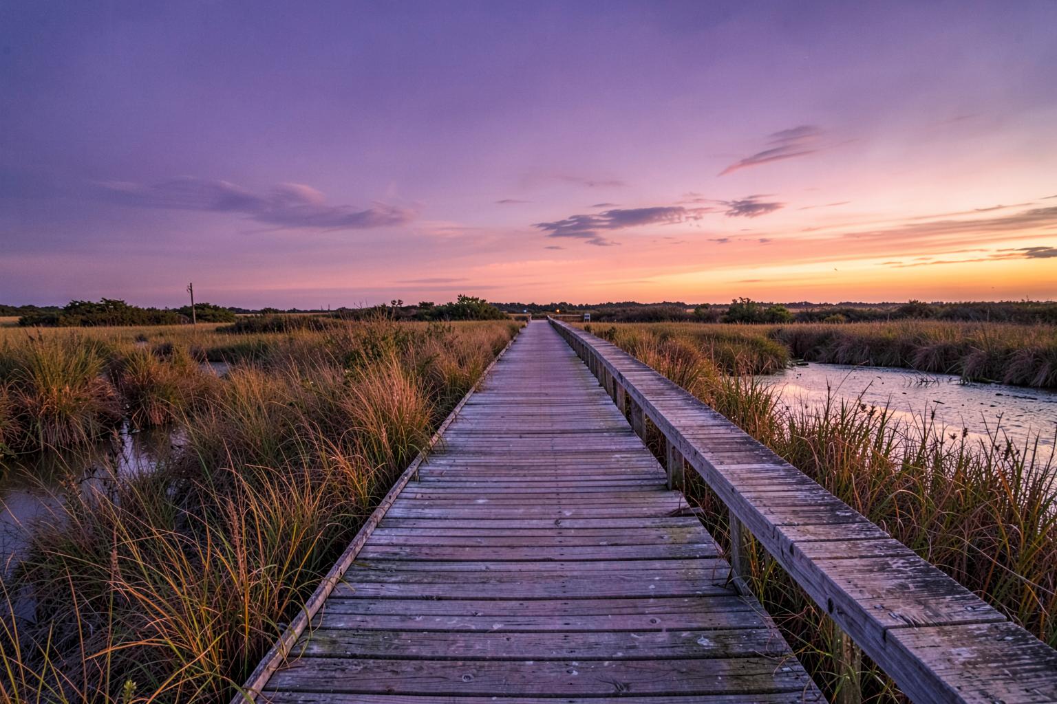 Long wooden boardwalk over golden marsh grass and tidal creek at dusk