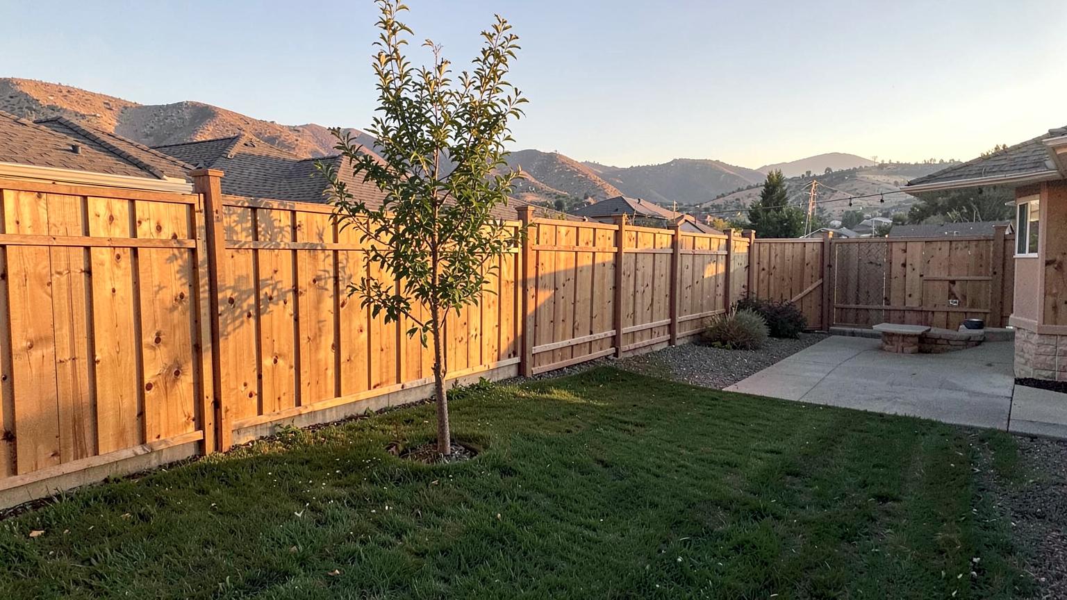 Newly built cedar privacy fence along the back of a suburban yard with fresh sod and young trees