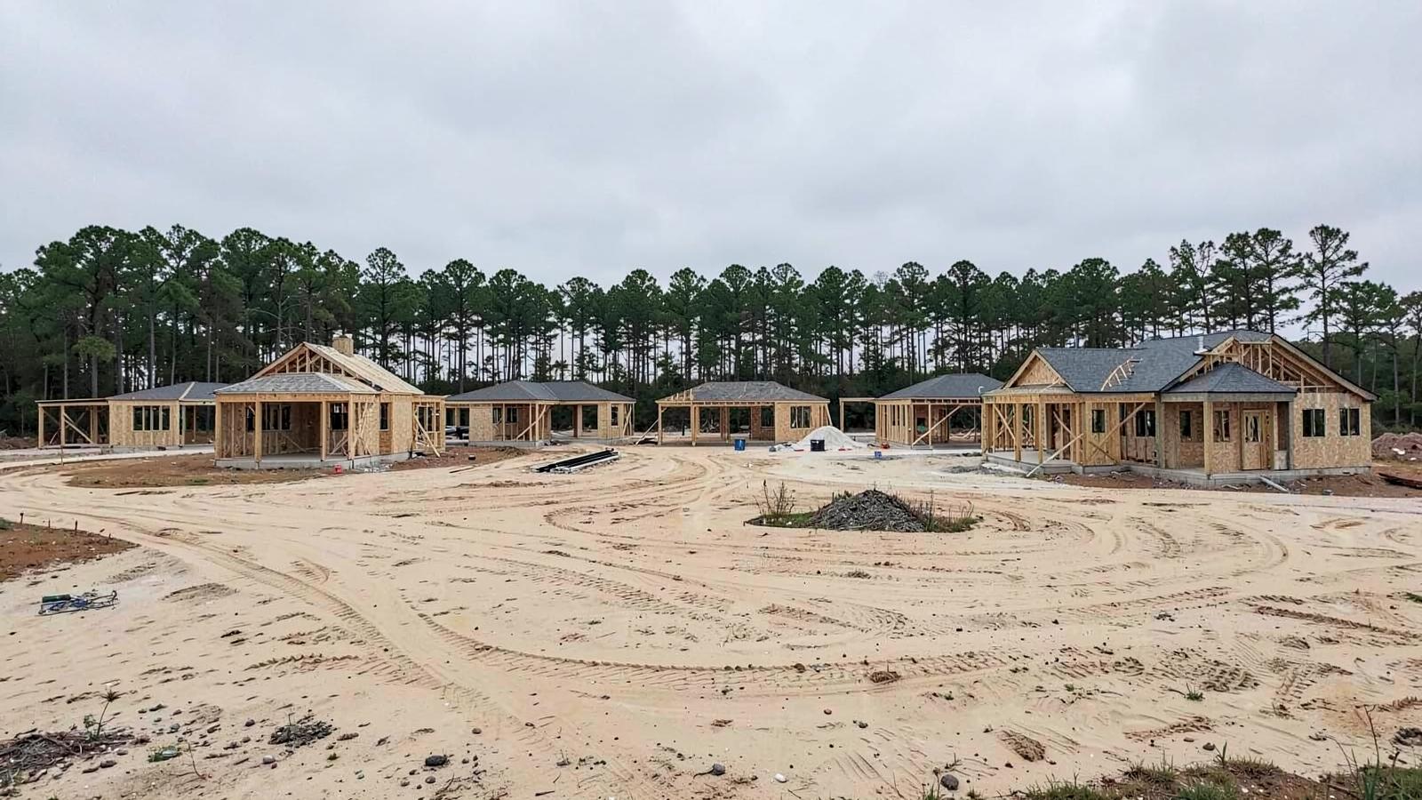 New residential subdivision of pale-sided houses on cleared sandy lots edged by tall coastal pine trees
