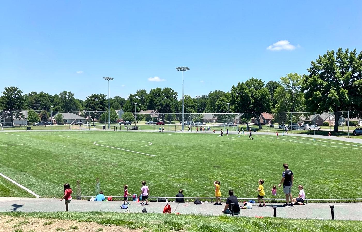 Green suburban youth sports fields with mown grass and trees on a bright morning