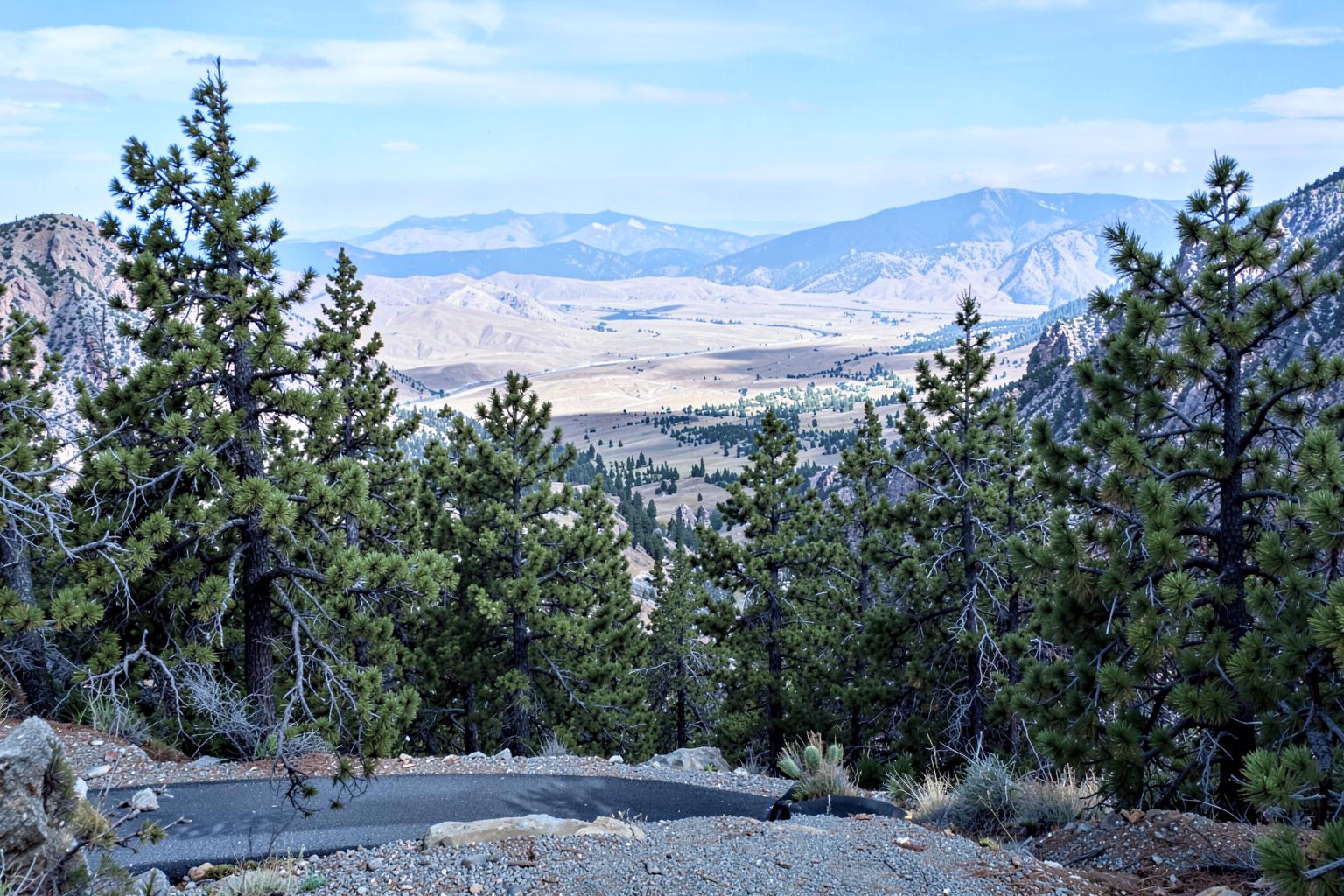 Pine forest on a high mountain road overlooking a distant desert valley far below