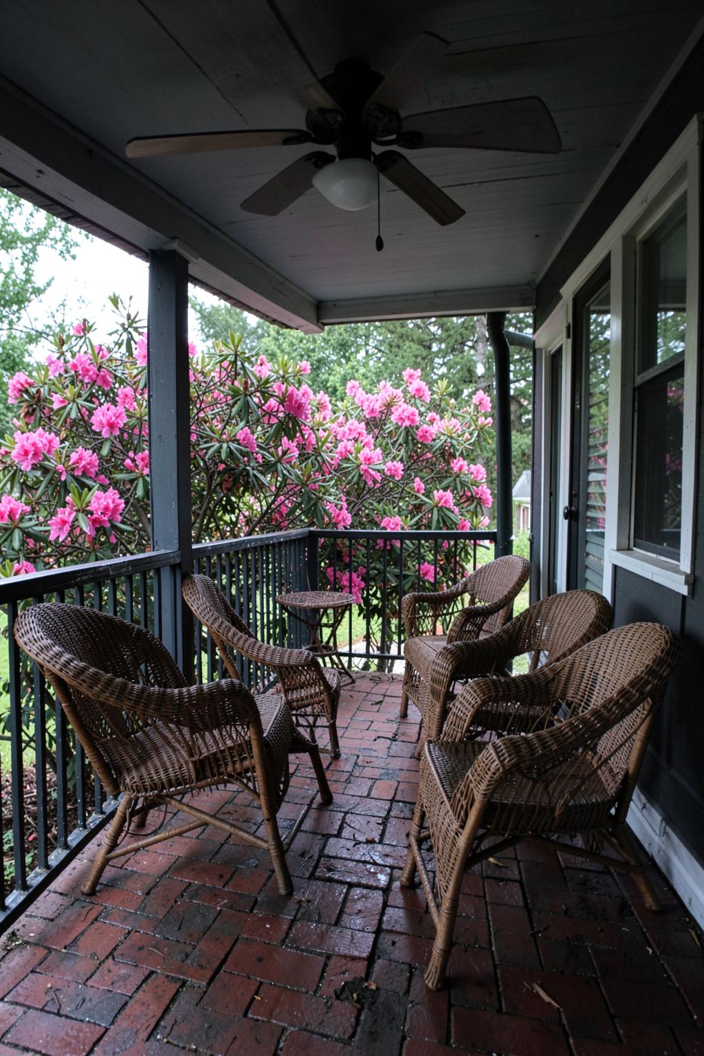 Deep shaded southern porch with wicker chairs, a ceiling fan and a brick floor looking out over blooming pink azaleas