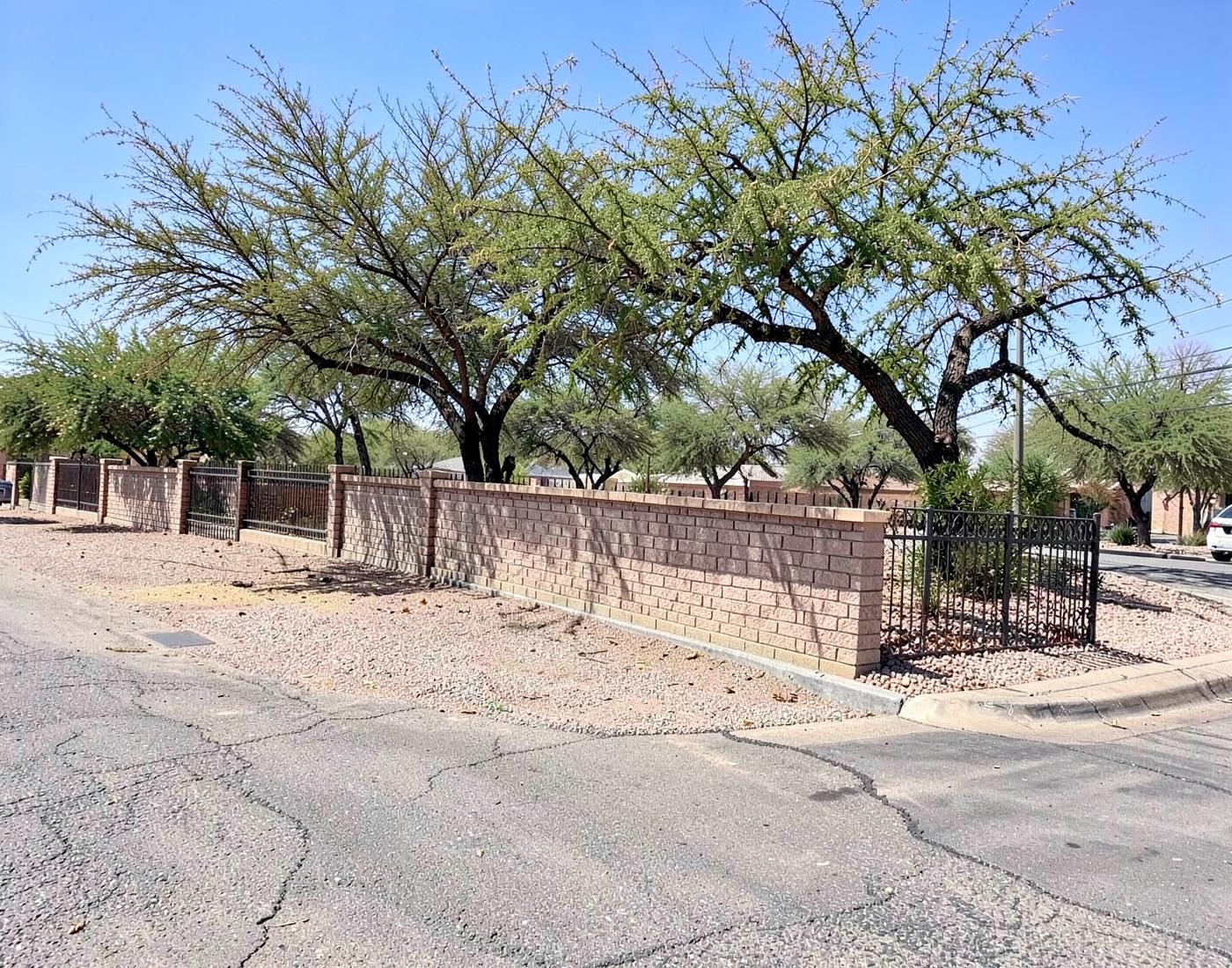 Block wall and wrought iron fence line along a wide residential desert street with gravel landscaping and mesquite trees