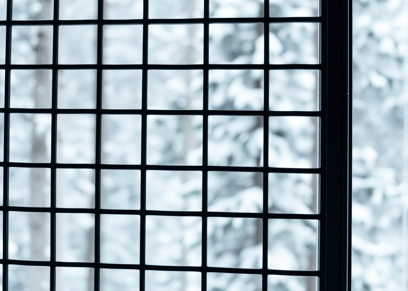Abstract grid of black steel window frames reflecting a snowy forest facade