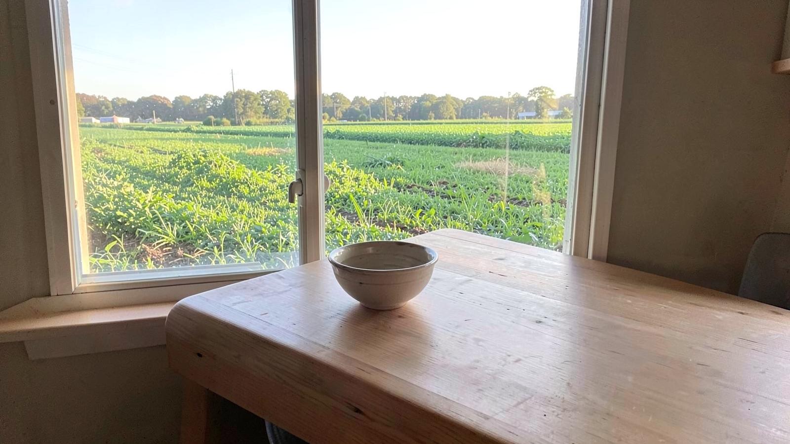 Plain wooden kitchen table beside a bright window looking onto a green irrigated field in the morning