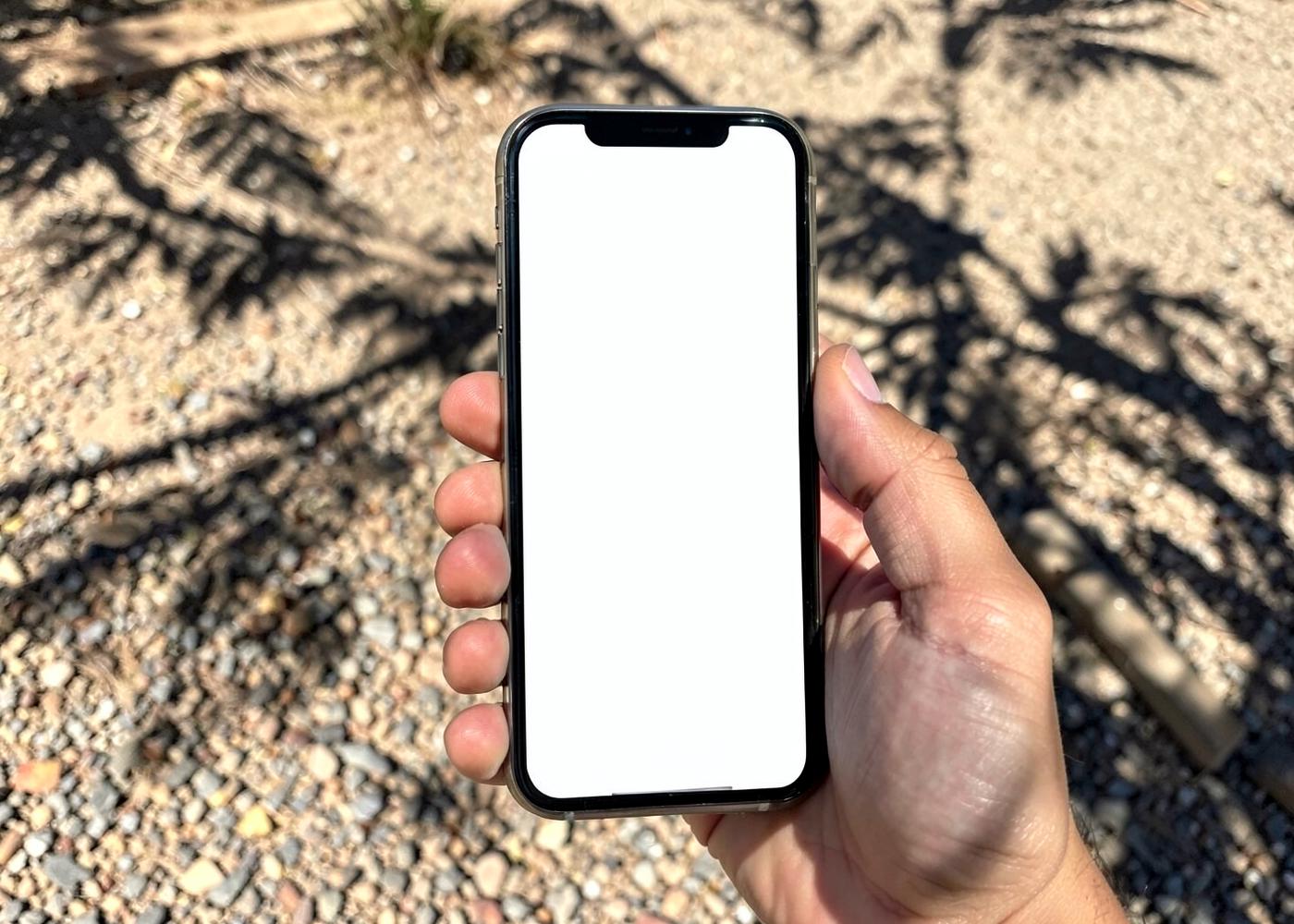 Hand holding a smartphone with a blank screen outdoors in bright desert sunlight above gravel and palm shadows