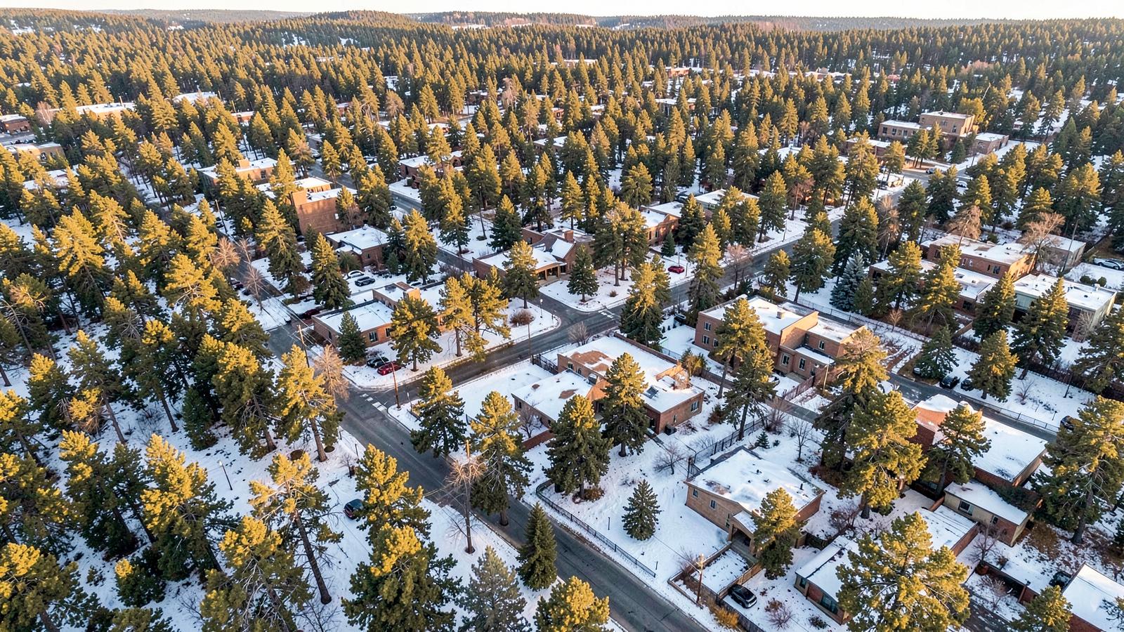 Aerial view of a forested town neighbourhood grid among ponderosa pines with light snow cover in late afternoon